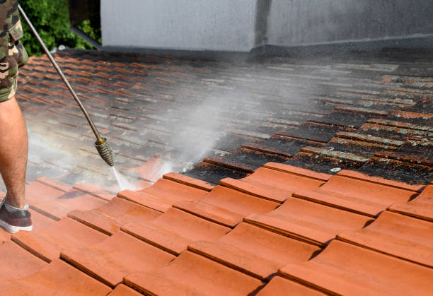 Best Roof Pressure Washing  in Houserville, PA